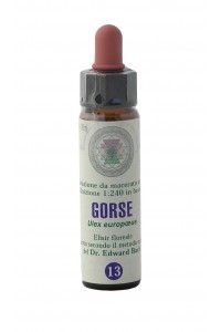 Fiore di Bach Gorse 