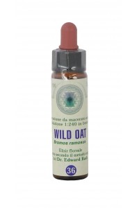 Fiore di Bach Wild Oat 