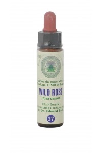 Fiore di Bach Wild Rose 